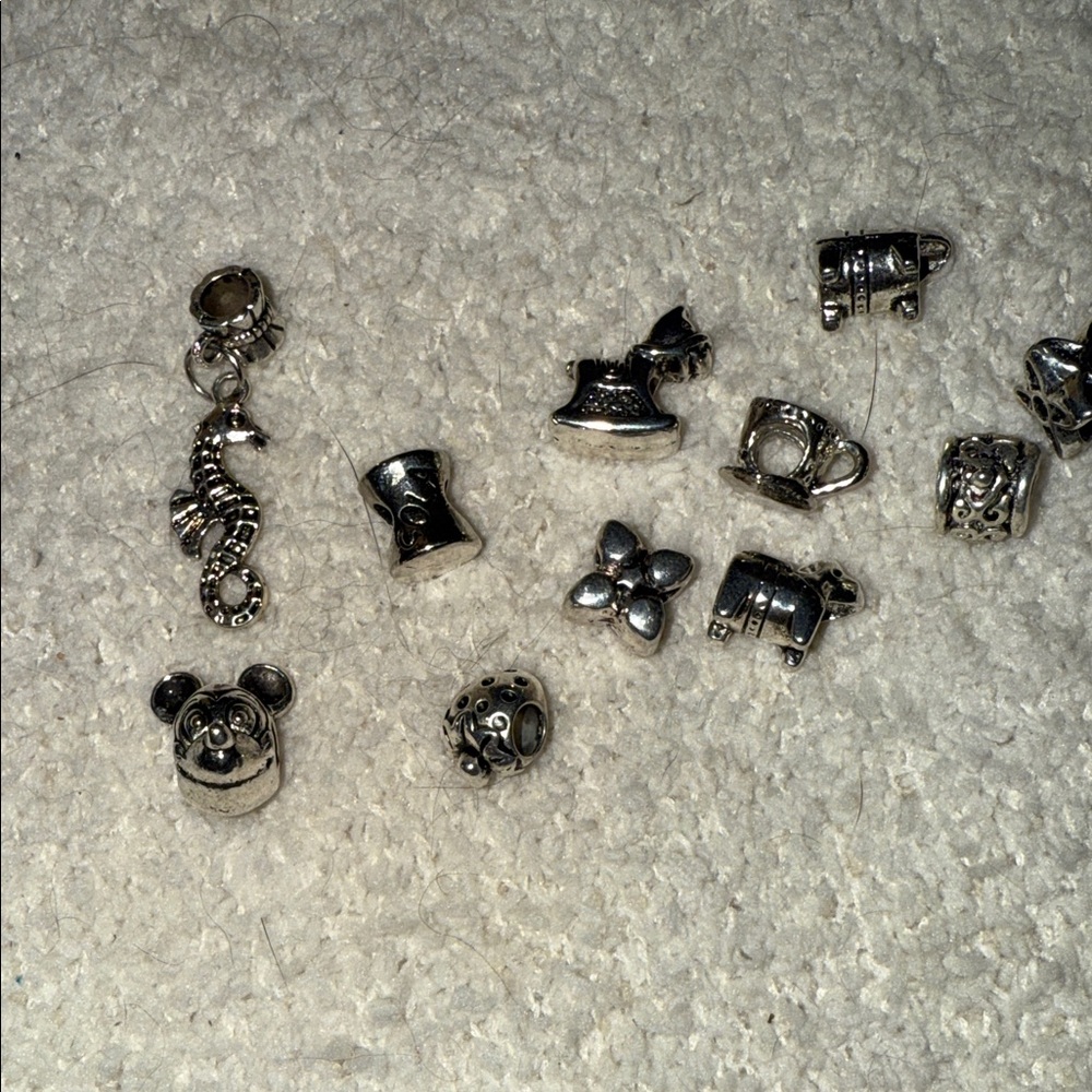 Silver Charm Collection - Picture 2 of 5